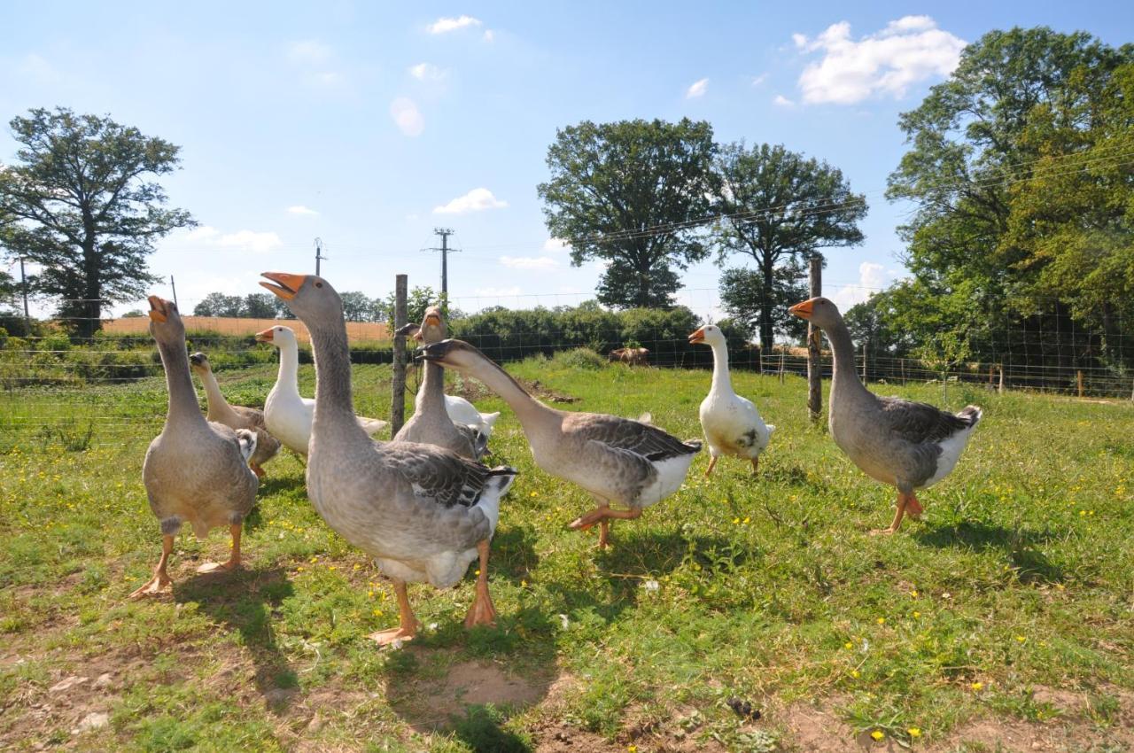 La Ferme Aux Cinq Sens Villa Bussiere-Boffy Luaran gambar